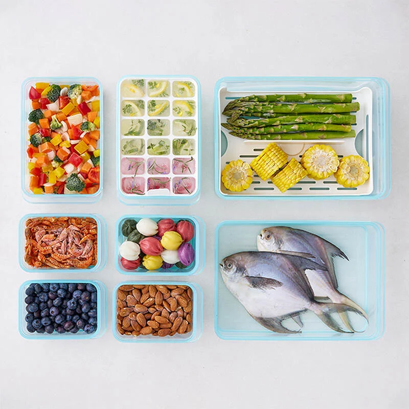 Hộp Trữ Đông Thực Phẩm Freezer Fit Locknlock Màu Tự Nhiên nhiều dung tích - Ảnh 2